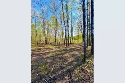 Tbd Mallard Place, Sandstone, MN 55072 - Photo 1