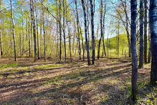 Tbd Mallard Pl, Sandstone, MN 55072 - Photo 1