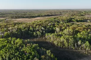 Tbd 180th Ln, Mcgrath, MN 56350 - Photo 1