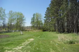 39769 Kestrel Ave, Tamarack, MN 55787 - Photo 11