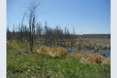 39769 Kestrel Avenue, Tamarack, MN 55787 - Photo 31