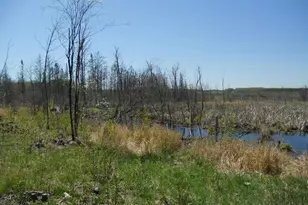 39769 Kestrel Ave, Tamarack, MN 55787 - Photo 31