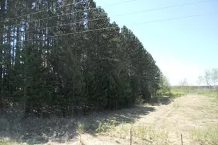 39769 Kestrel Ave, Tamarack, MN 55787 - Photo 27