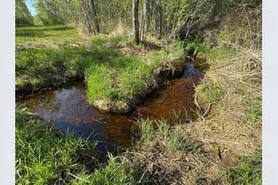 Tbd Skog Road, Kettle River, MN 55757 - Photo 15