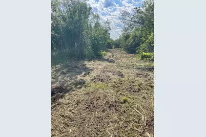 Tbd Skog Road, Kettle River, MN 55757 - Photo 3