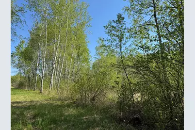 Tbd Skog Road, Kettle River, MN 55757 - Photo 13