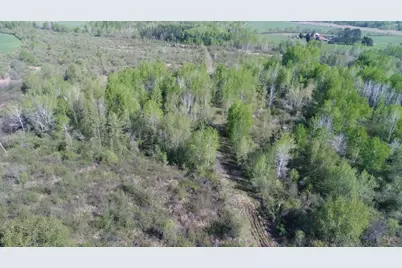 Tbd Skog Road, Kettle River, MN 55757 - Photo 19