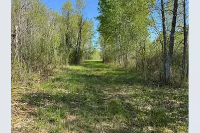 Tbd Skog Road, Kettle River, MN 55757 - Photo 11