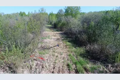 Tbd Skog Road, Kettle River, MN 55757 - Photo 17