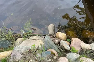 1910 Longwood Point Rd NE, Outing, MN 56662 - Photo 53