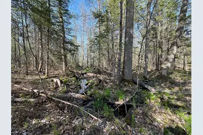 Xxx Elm Road, Barnum, MN 55707 - Photo 21