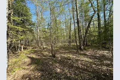 Xxx Elm Road, Barnum, MN 55707 - Photo 7