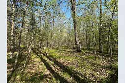 Xxx Elm Road, Barnum, MN 55707 - Photo 13