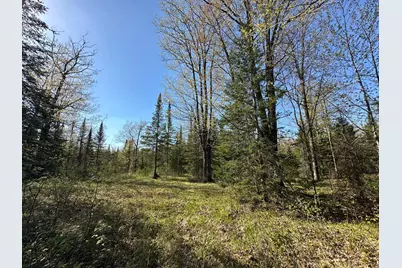 Xxx Elm Road, Barnum, MN 55707 - Photo 11