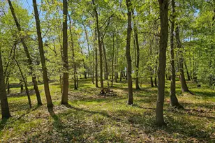 40289 Aerovilla Rd, Perham, MN 56573 - Photo 41