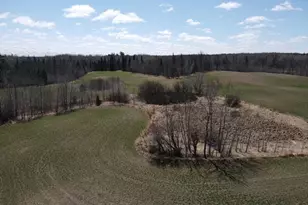 Tbd Alfalfa Dr NW, Shevlin, MN 56676 - Photo 1