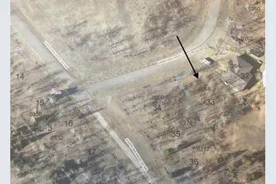 6466 Kabekona Ridge Lane NW, Walker, MN 56484 - Photo 5