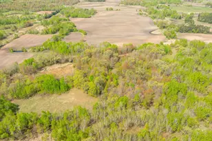 Tbd-80+/-Ac 470th St, Sunrise Township, MN 55032 - Photo 1