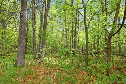 Xxx Maplewood Drive, East Gull Lake, MN 56401 - Photo 7