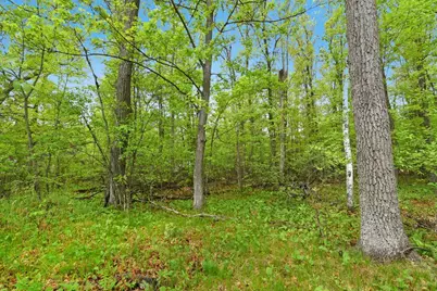 Xxx Maplewood Drive, East Gull Lake, MN 56401 - Photo 11