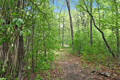 Xxx Maplewood Drive, East Gull Lake, MN 56401 - Photo 21