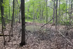 Xxx Crust Rd, Brainerd, MN 56401 - Photo 25