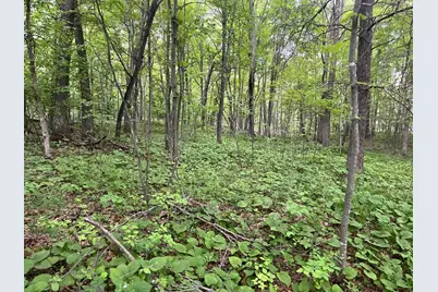 Xxx Crust Road, Brainerd, MN 56401 - Photo 21