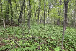 Xxx Crust Rd, Brainerd, MN 56401 - Photo 21