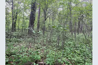 Xxx Crust Road, Brainerd, MN 56401 - Photo 39