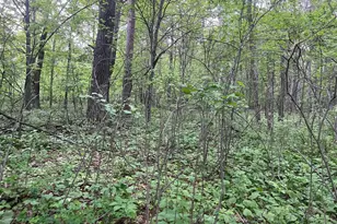 Xxx Crust Rd, Brainerd, MN 56401 - Photo 39