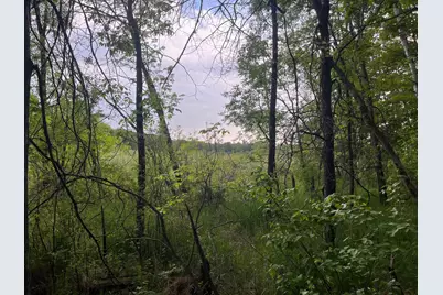 Xxx Crust Road, Brainerd, MN 56401 - Photo 35