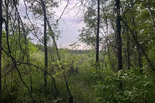 Xxx Crust Rd, Brainerd, MN 56401 - Photo 35