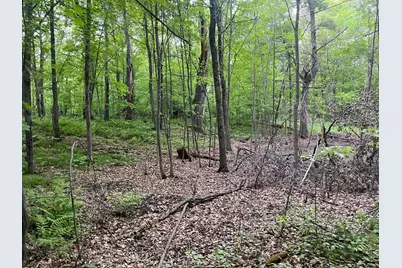 Xxx Crust Road, Brainerd, MN 56401 - Photo 45