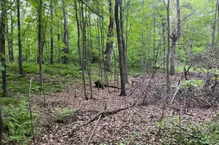 Xxx Crust Rd, Brainerd, MN 56401 - Photo 45