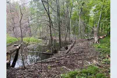 Xxx Crust Road, Brainerd, MN 56401 - Photo 23