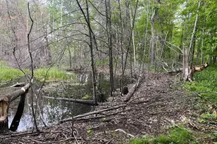 Xxx Crust Rd, Brainerd, MN 56401 - Photo 23