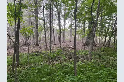 Xxx Crust Road, Brainerd, MN 56401 - Photo 49