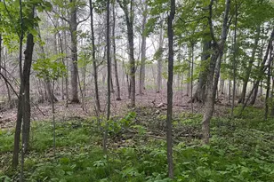 Xxx Crust Rd, Brainerd, MN 56401 - Photo 49