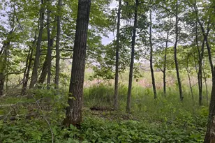 Xxx Crust Rd, Brainerd, MN 56401 - Photo 37