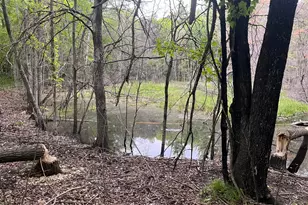 Xxx Crust Rd, Brainerd, MN 56401 - Photo 7