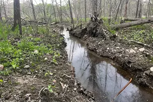 Xxx Crust Rd, Brainerd, MN 56401 - Photo 5