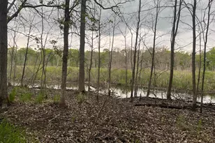 Xxx Crust Rd, Brainerd, MN 56401 - Photo 51