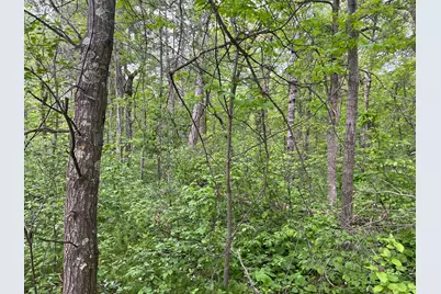 Xxx Crust Road, Brainerd, MN 56401 - Photo 27