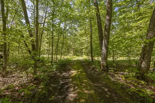 224 Norman Point Rd NW, Longville, MN 56655 - Photo 33