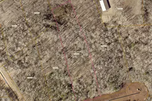 Tbd 1 94 Acres Tail Track Ln, Deerwood, MN 56444 - Photo 1