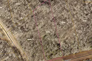 Tbd 1 61 Acres Tail Track Ln, Cuyuna, MN 56444 - Photo 1