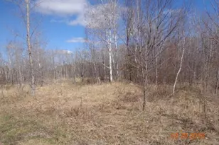 17205 Lincoln St NE, Ham Lake, MN 55304 - Photo 1