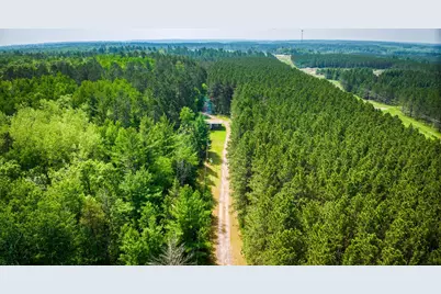 17498 County Road 2, Itasca Twp, MN 56676 - Photo 1