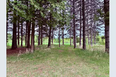 1622 82nd Avenue NW, Williams, MN 56686 - Photo 49