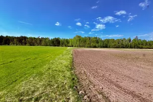 1622 82nd Ave NW, Williams, MN 56686 - Photo 91